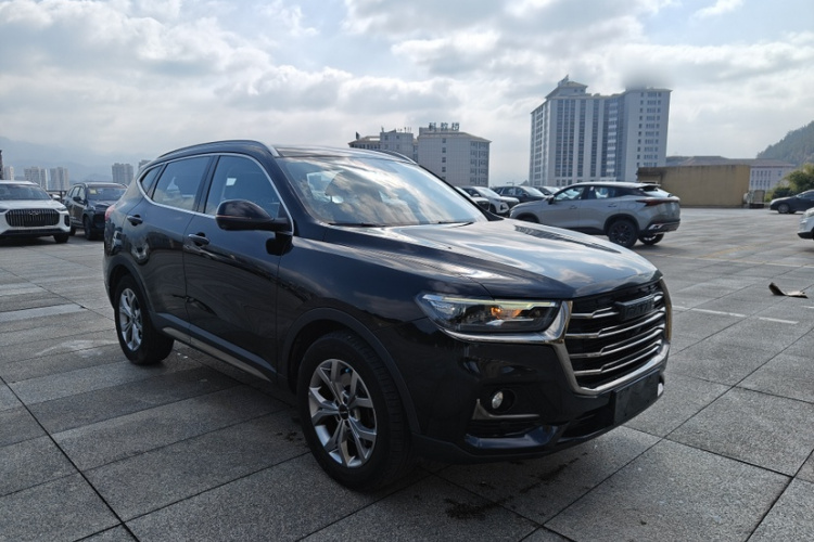 哈弗H6 2021款 国潮版 1.5T 自动冠军版车身外观6004