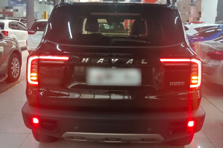 哈弗大狗 2021款 1.5T DCT两驱拉布拉多版车身外观6