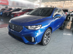 魏牌 VV5 2020款 2.0T 两驱擎先锋