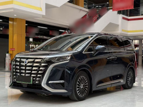 腾势D9 2024款 DM-i 980 四驱旗舰型