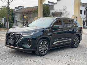 奇瑞 瑞虎8 PRO 2024款 冠军版 390T 两驱巅峰版 5座