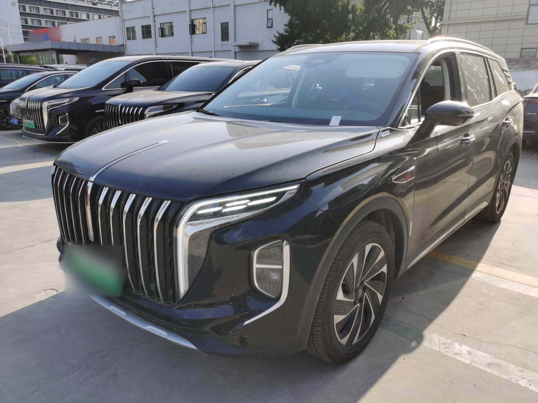 红旗HS7 PHEV 2024款 2.0T PHEV 四驱旗畅版 7座(2)