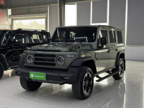 212 T01 2024款 2.0T 检阅官