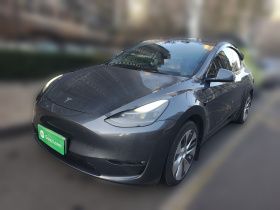 特斯拉 Model Y 2021款 长续航全轮驱动版