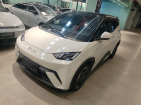 比亚迪 海鸥 2024款 荣耀版 305km 自由版