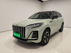 红旗HS3 2023款 1.5T 两驱善为版