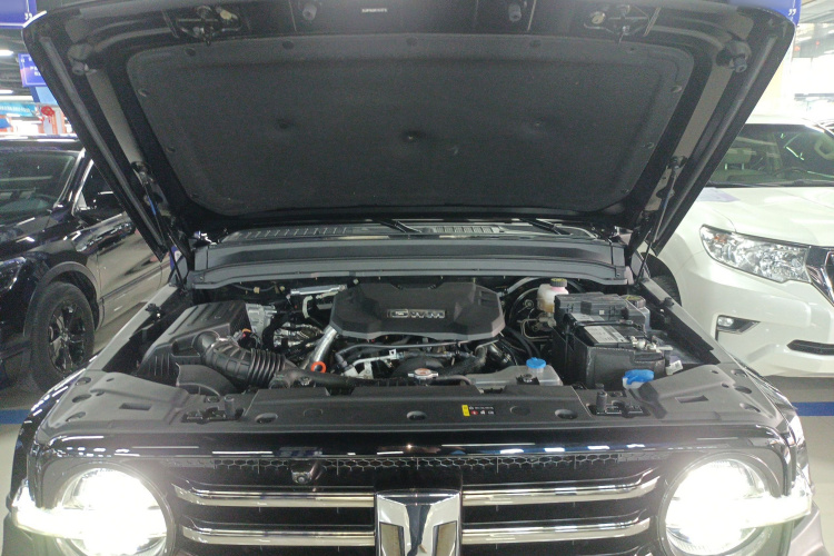 坦克300 2024款 2.0T 穿越者机舱底盘24