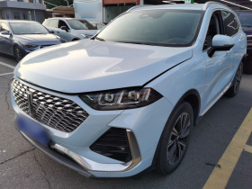 魏牌 拿铁DHT 2022款 1.5T DHT大杯