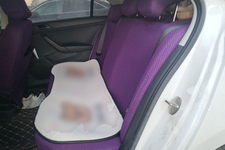 大众 桑塔纳 2021款 1.5L 手动风尚版中控内饰21