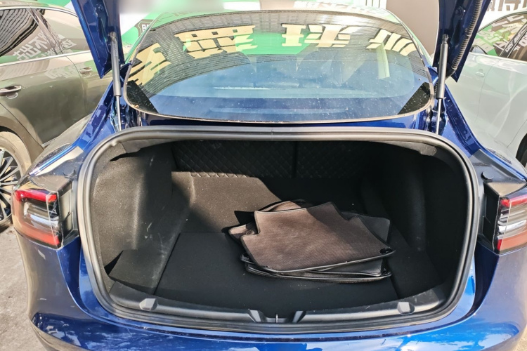 特斯拉 Model 3(进口) 2019款 长续航全轮驱动版局部细节23