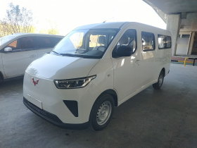 五菱汽车 五菱扬光 2024款 300KM 舒适型客车版 75kW
