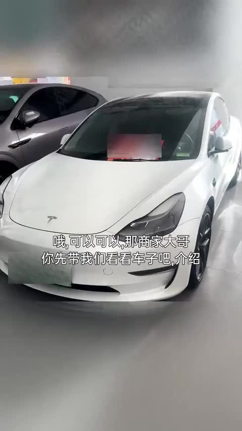 特斯拉 Model 3 2021款 Performance高性能全轮驱动版讲解2