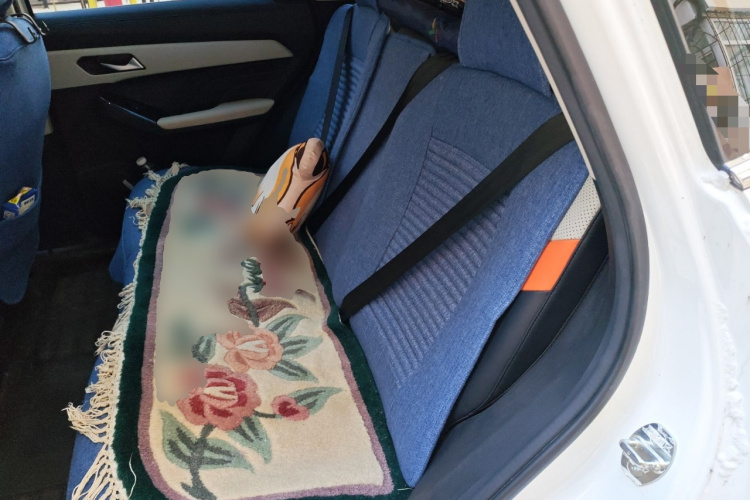 哈弗赤兔 2021款 激擎版 1.5T 铂金兔中控内饰21