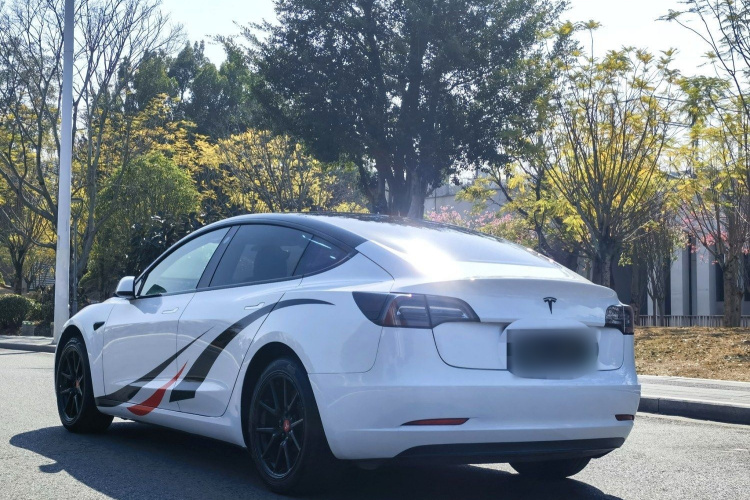 特斯拉 Model 3 2019款 标准续航后驱升级版车身外观6007