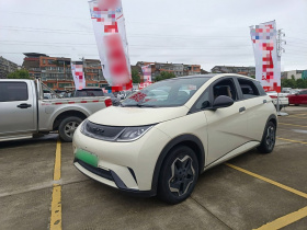 比亚迪 海豚 2021款 405km 时尚版