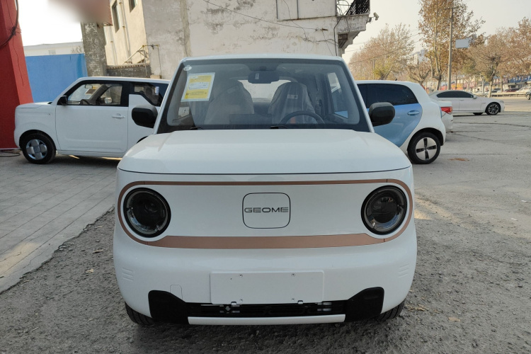 吉利银河 2024款 熊猫mini 200km 耐力熊车身外观6001