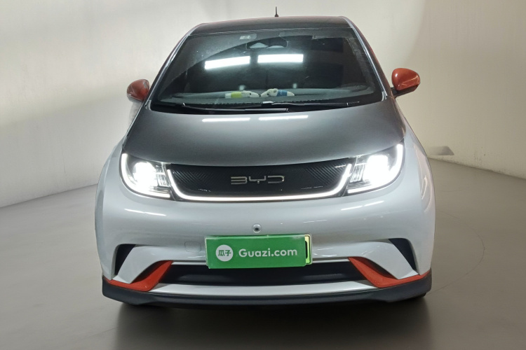 比亚迪 海豚 2021款 401km 骑士版车身外观2