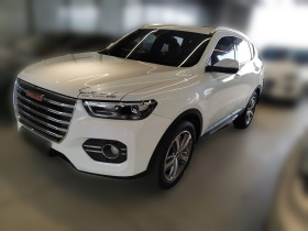 哈弗H6 2017款 红标 2.0T 自动两驱领尚型