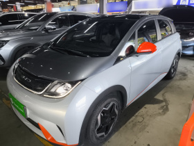 比亚迪 海豚 2021款 405km 时尚版