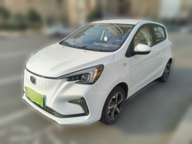 长安欧尚 奔奔E-Star 2020款 心动版 三元锂