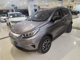 比亚迪 元Pro 2023款 401KM尊贵型