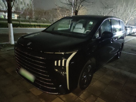 东风风行 星海V9 2024款 1.5TD 200km 青云梯系列 尊贵型