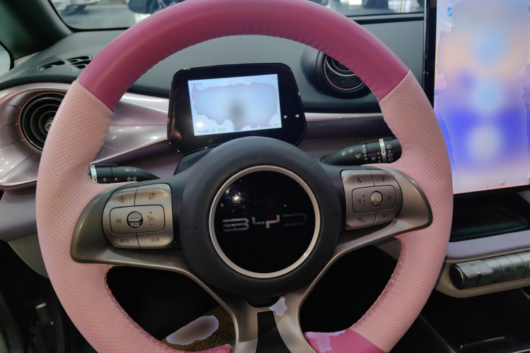 比亚迪 海豚 2023款 420km 自由版中控内饰13