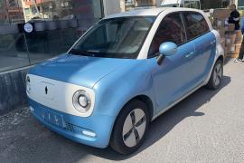 欧拉黑猫 2021款 301km 基础型