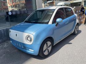 欧拉黑猫 2021款 301km 基础型