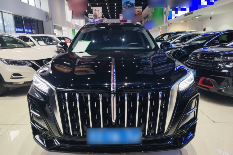 红旗HS5 2023款 2.0T 旗享Pro版车身外观2