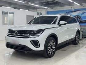 大众 揽巡 2023款 330TSI 豪华巡逸版