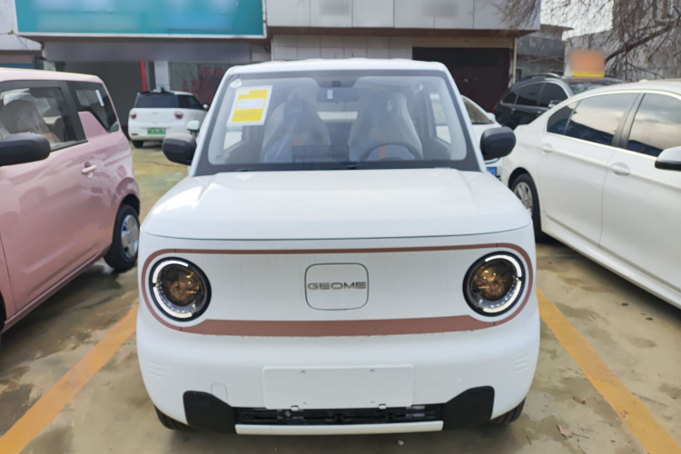 吉利银河 2024款 熊猫mini 200km 耐力熊车身外观6001