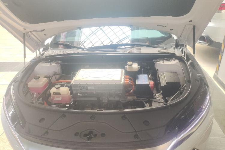 比亚迪 汉 2021款 EV 标准续航版豪华型机舱底盘24