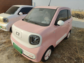 奔腾小马 2025款 222km 闪电马