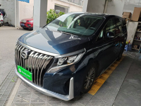 广汽传祺 传祺M8 2021款 大师系列 390T 至尊版