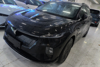 岚图汽车 岚图知音 2024款 四驱全球版