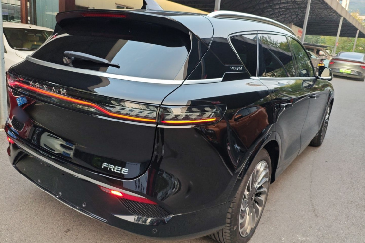 岚图汽车 岚图FREE 2021款 两驱标准纯电城市版车身外观7