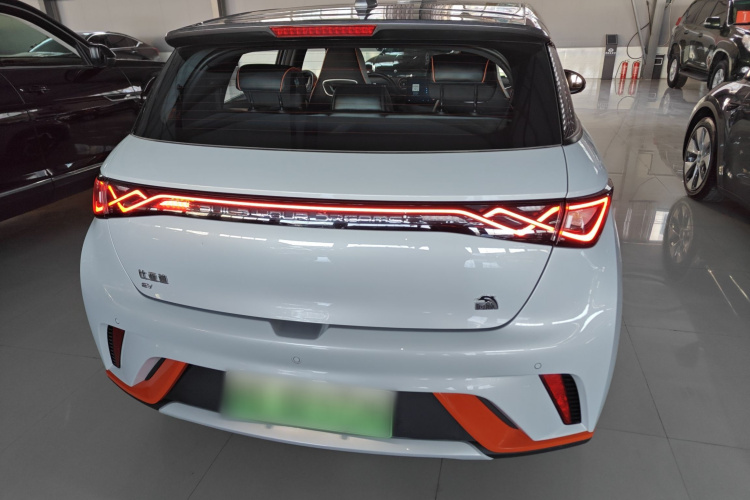 比亚迪 海豚 2021款 405km 时尚版车身外观6