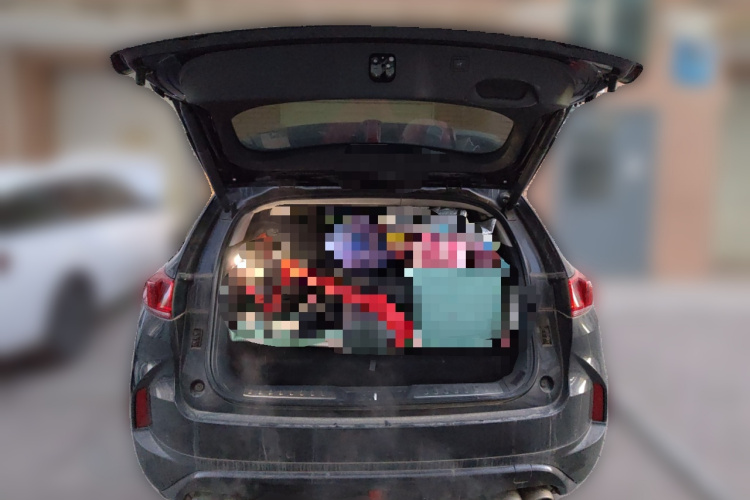 魏牌 P8 2018款 2.0T 旗舰型中控内饰23