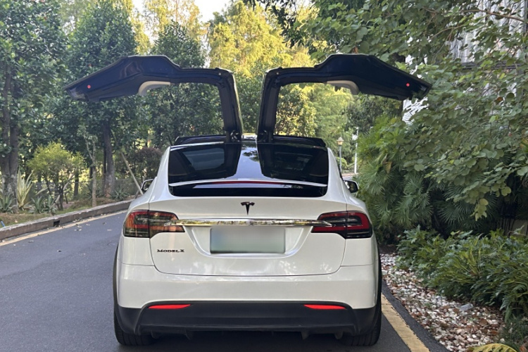 特斯拉 Model X 2019款 长续航版车身外观6004