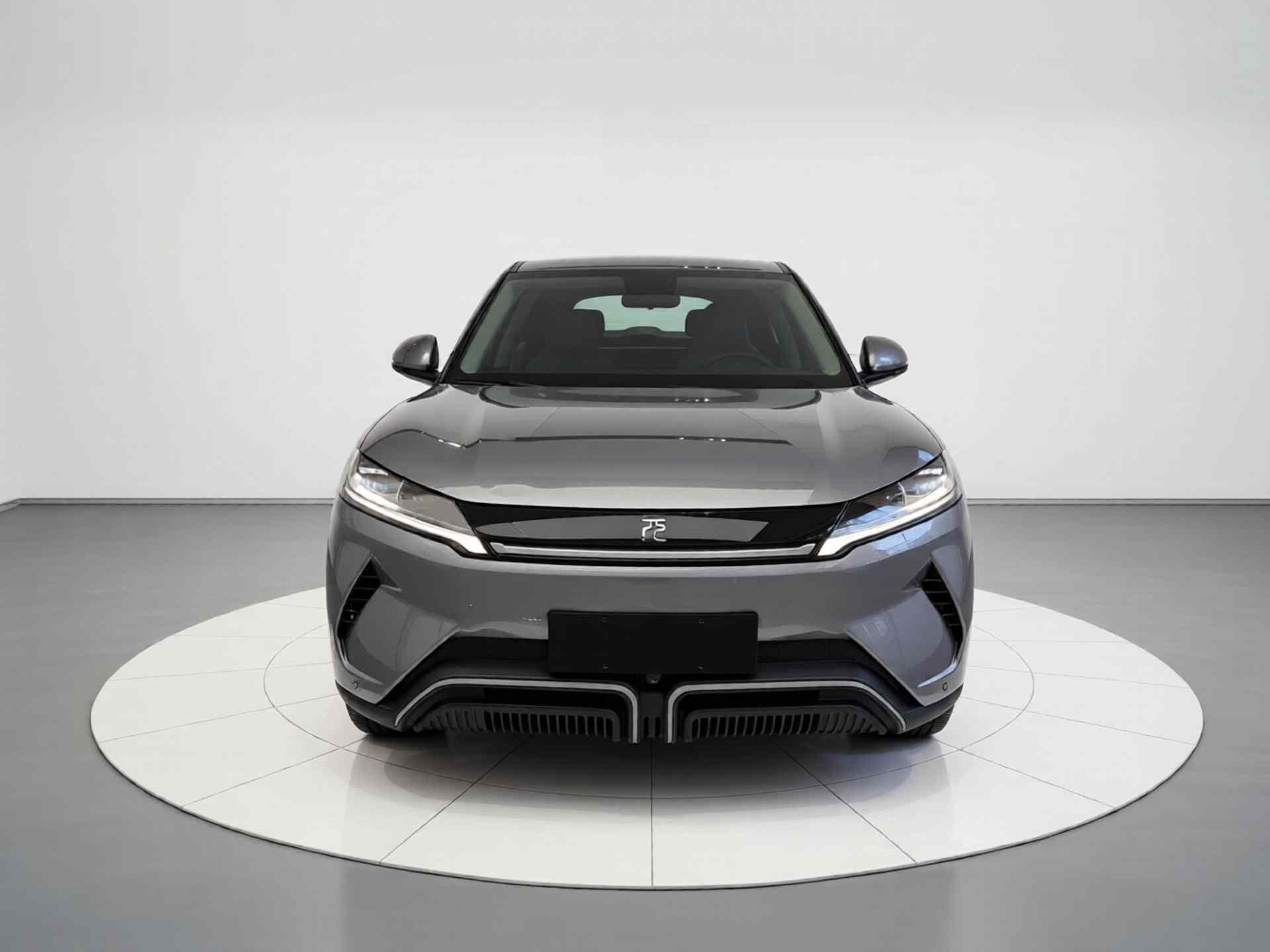 比亚迪 元UP 2024款 401KM 领先型(1)