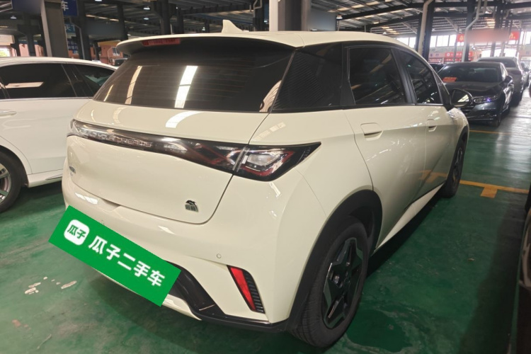 比亚迪 海豚 2021款 405km 时尚版车身外观6005