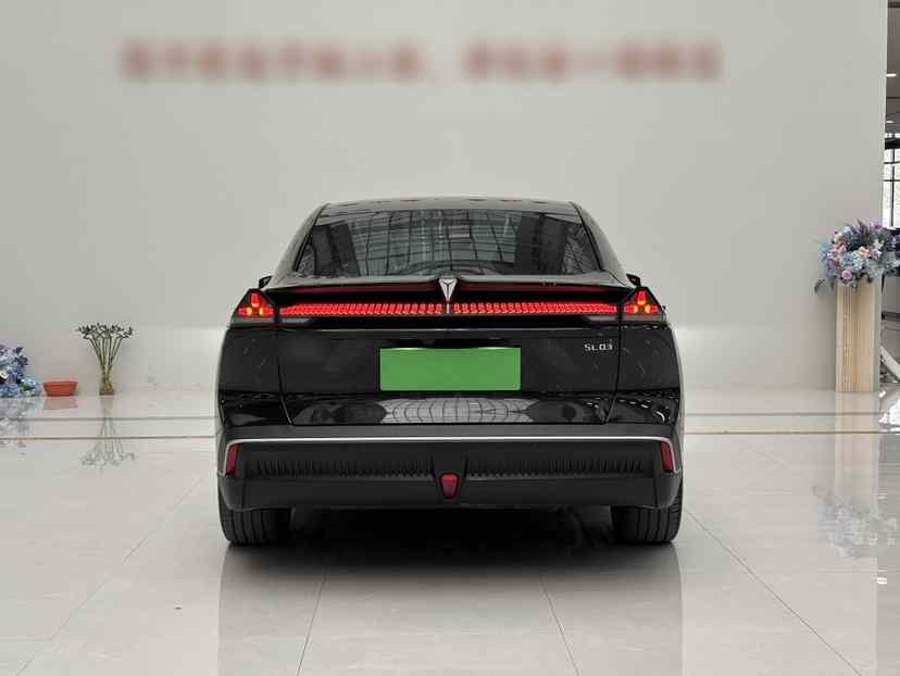 深蓝汽车 深蓝SL03 2025款 增程运动型(2)