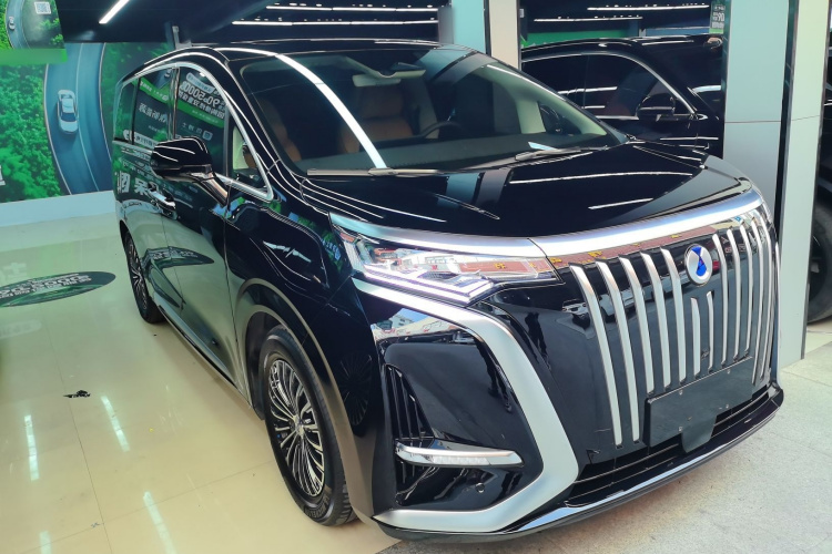 腾势D9 2024款 EV 620 尊享型车身外观6002