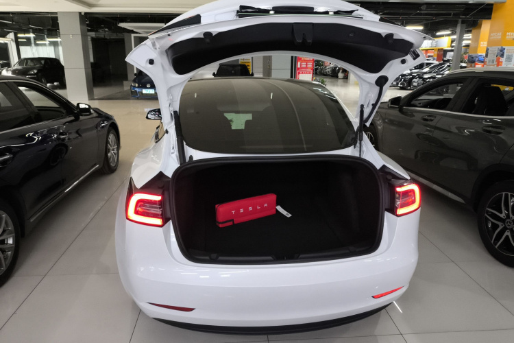 特斯拉 Model 3 2022款 后轮驱动版机舱底盘23