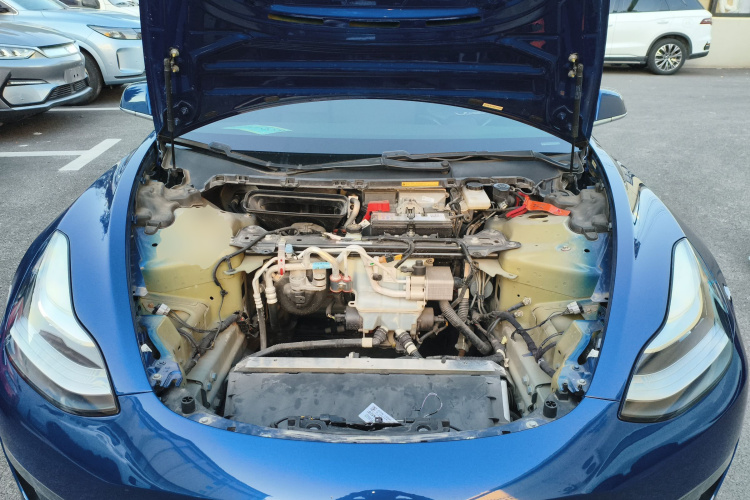 特斯拉 Model 3(进口) 2019款 长续航后驱版局部细节24