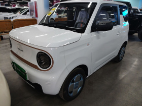吉利银河 2024款 熊猫mini 200km 耐力熊