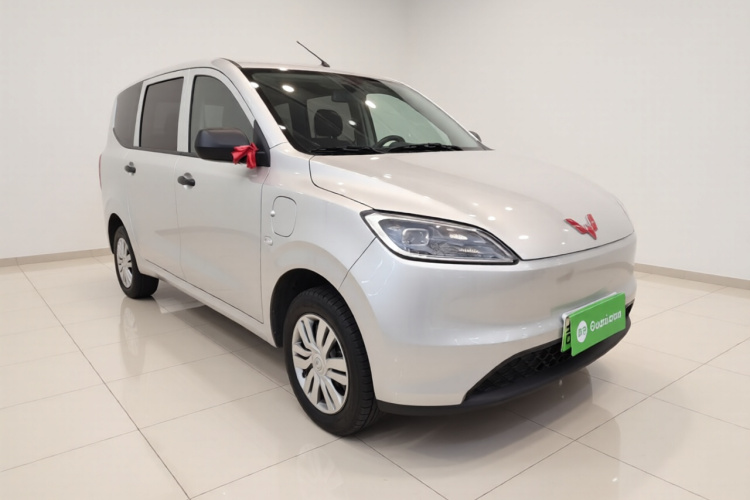 五菱汽车 五菱宏光新能源 2024款 纯电版 300KM 实用型车身外观3