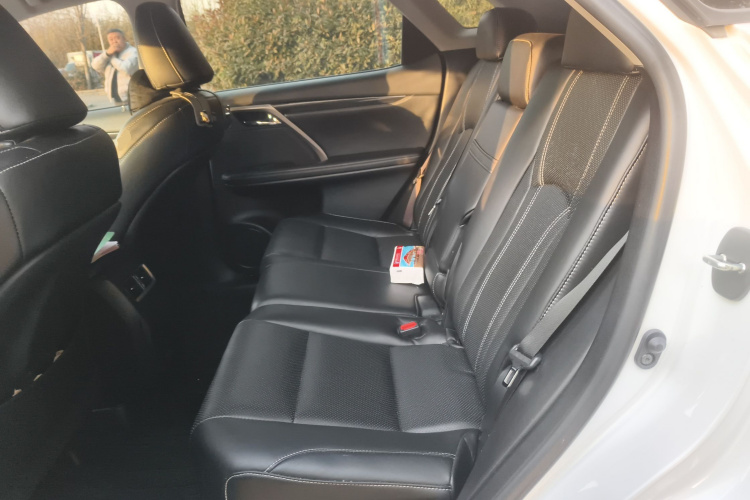 雷克萨斯RX 2020款 300 两驱精英版 国VI中控内饰21