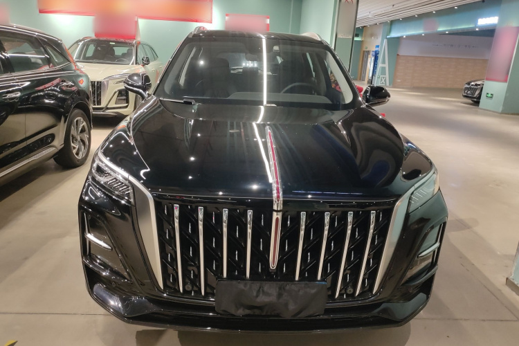 红旗HS5 2025款 2.0T 两驱旗悦Pro版车身外观2